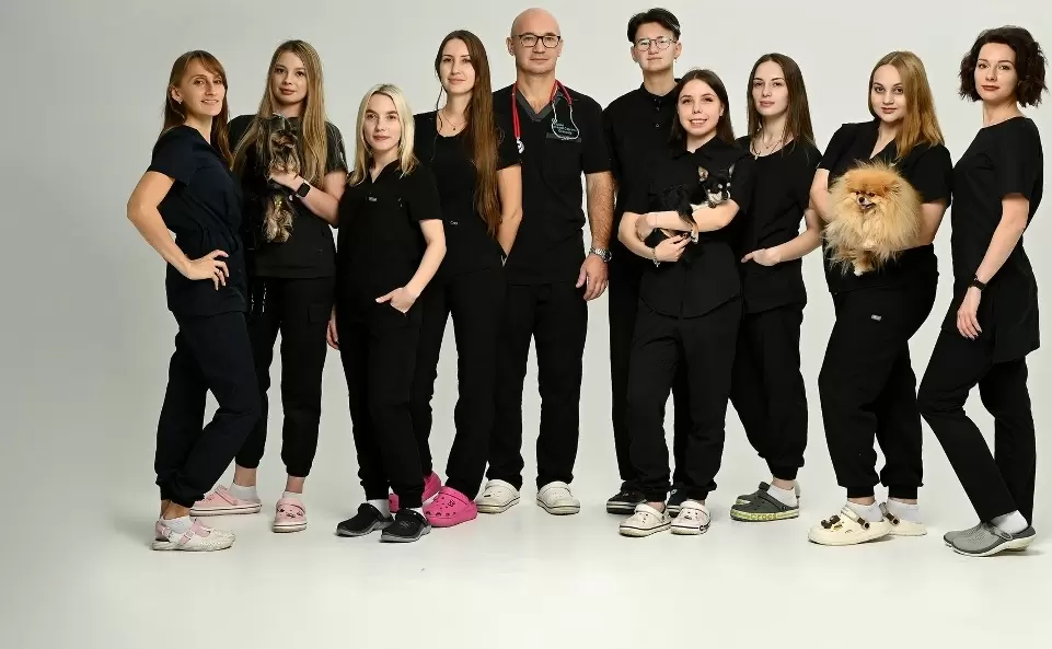 Немного о нашем центре  «ВитаВет»